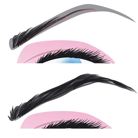 Eyebrows Clipart Free Download On Clipartmag