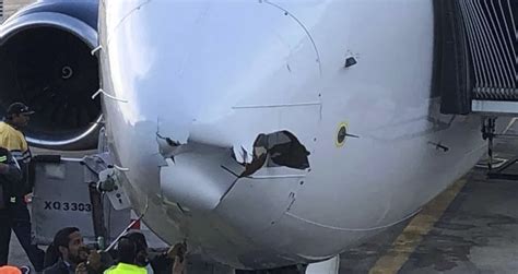 Boeing 737 Crashes Into Drone During Landing Nature Ttl