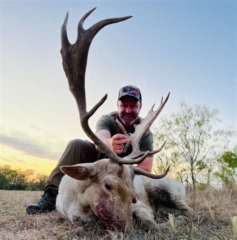 Texas Fallow Deer Hunting Mmk Outfitters