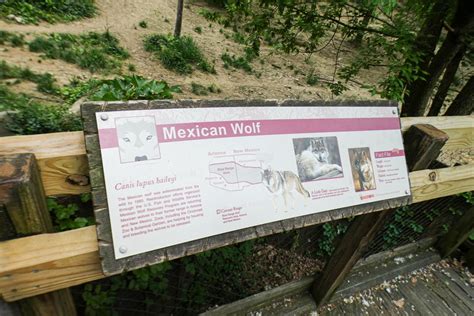 May 2021 Wolf Woods Mexican Wolf Signage Zoochat