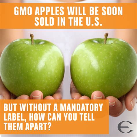 Gmo Apples Will Be Hitting Us Store Shelves Soon Do You Think They
