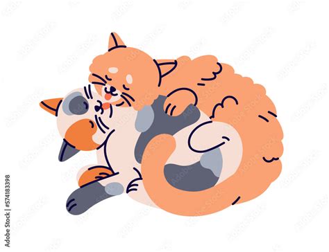 Cute Cats Couple Hugging Grooming Licking Each Other With Love Two Funny Kitties Curled Up