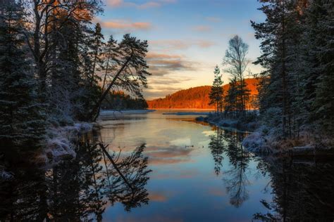 Sweden Scenery Rivers Sunrises And Sunsets Trees Arvika
