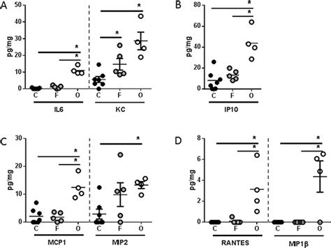 Human Pancreatic Cancer Xenografts Recapitulate Key Aspects Of Cancer