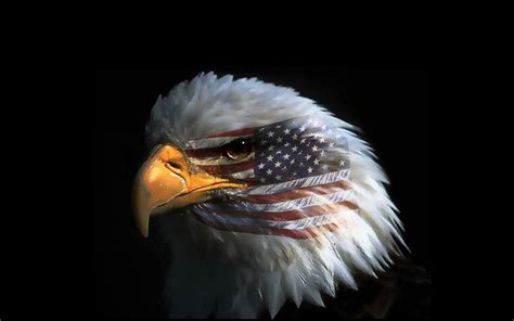 Eagle Eye American Flag Wallpaper Hd Or Mobile Phone And