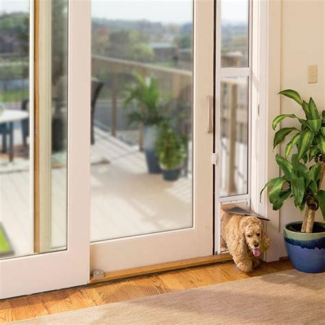 Best Dog Doors For Sliding Glass Reviewed By Experts