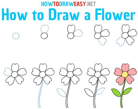 How To Draw A Flower How To Draw Easy