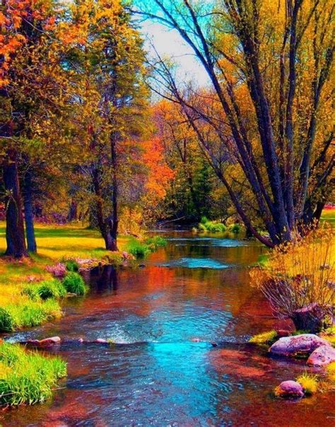 So Colorful Really Epitomizes Autumn Fall Pictures Nature Pictures