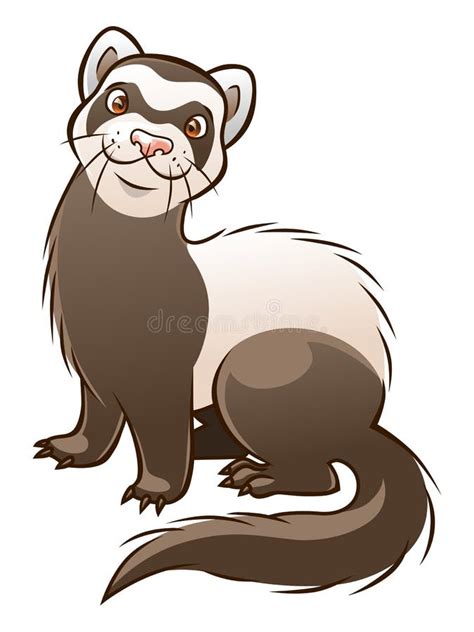 Cartoon Ferret Clipart Affordable And Search From Millions Of Royalty