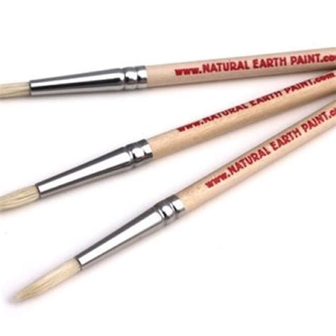 Natural Paint Brushes Pack Of 3 By Ecowarehouse Green Elephant Nz
