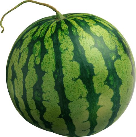 Collection Of Hq Watermelon Png Pluspng