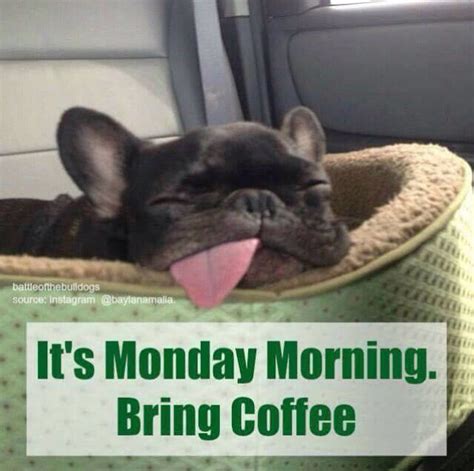 Its Monday Morning Bring Coffee Pictures Photos And Images For