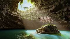 Explore The Unseen Pirnpics Unveils The Hidden Beauty Of The World