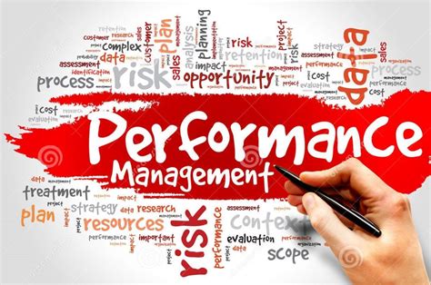 The Performance Management Process - Tamayyaz