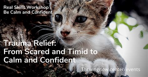 Trauma Relief From Scared And Timid To Calm And Confident Relief Thriving Now Community