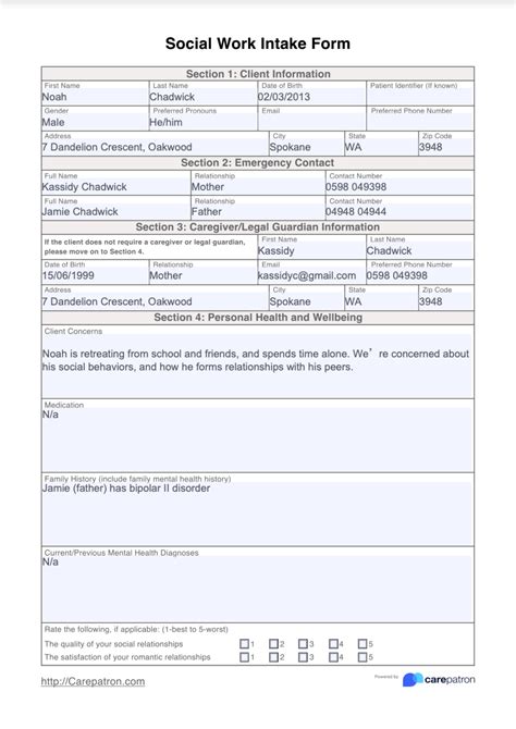 Social Work Intake Form And Template Free Pdf Download
