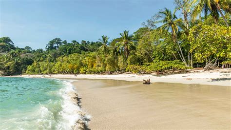 Costa Rica 2021 Top 10 Touren Trips And Aktivitäten Mit Fotos