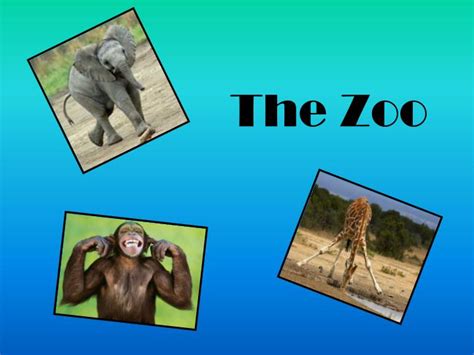 Ppt The Zoo Powerpoint Presentation Free Download Id6487457