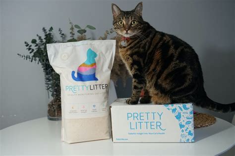 Pretty Litter Subscription Review Technomeow