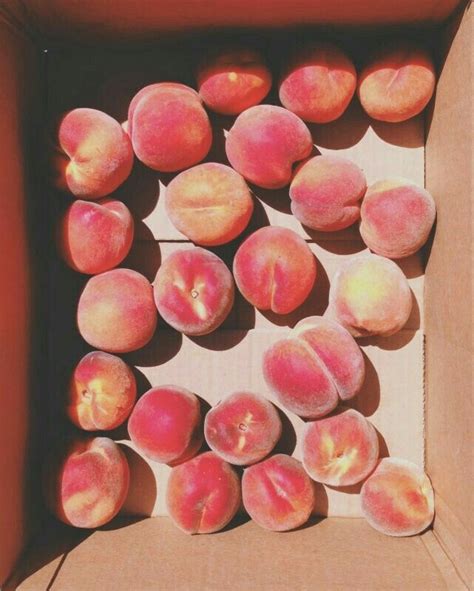 Pin By Jasper Ko On ｡ ｡♡ Pink Peachy Peach Aesthetic Fruit