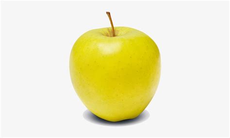 Yellow transparent is one of the great american apples that, to the surprise of many, is actually not a true american apple! Yellow Apple Png Transparent PNG - 500x500 - Free Download ...