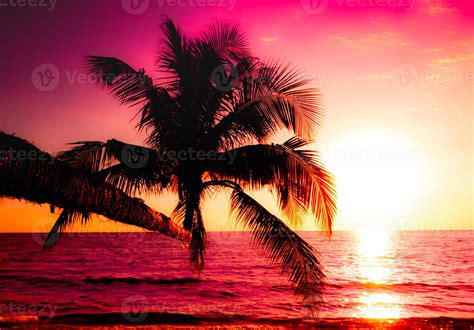 Silhouette Of Palm Tree On The Beach During Sunset Of Beautiful A Tropical Beach On Pink Sky