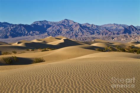 Death Valley Sand Dunes Photograph By Mimi Ditchie
