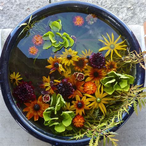 We did not find results for: Water flowers at the Green Bay Botanical Gardens