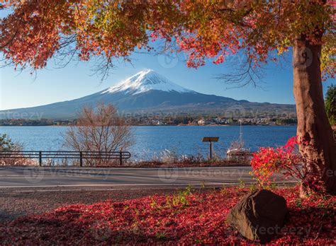 Mt Fuji And Autumn Foliage At Lake Kawaguchi 1406801 Stock Photo At