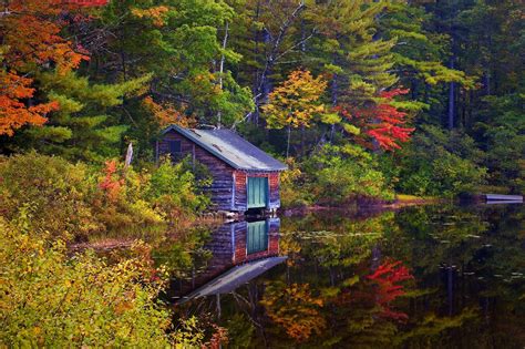 Lake House Forest Trees Landscape Autumn Wallpaper
