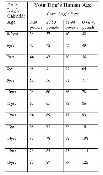 Your Dog S Age In Human Years A Conversion Chart Dog Ages Dog Breeds