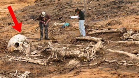 Archaeologists Discovered The Tragic Lives Of The Nearly 10 Foot Tall