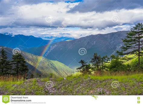Mountain Landscape Pine Trees Near Valley And Colorful Forest On