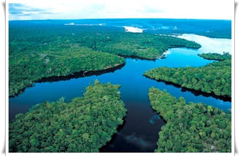 Cari tahu di sini untuk mengetahui jawabannya! 10 Sungai Terpanjang di Dunia - Ilmu Pengetahuan - CARApedia