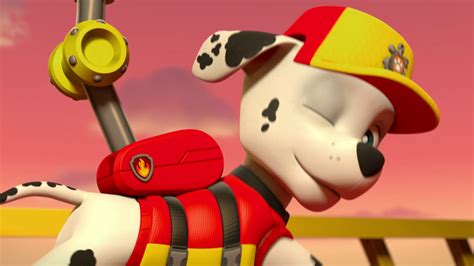 Los Paw Patrol Paw Patrol Pups Angry Birds 2 Movie Miraculous