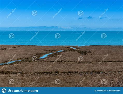 Salt Marsh At China Camp State Park Stock Image Image Of Soil