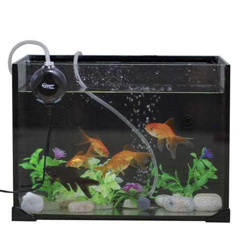 Best 15 Gallon Fish Tank Aquarium Reviews And Setup Ideas