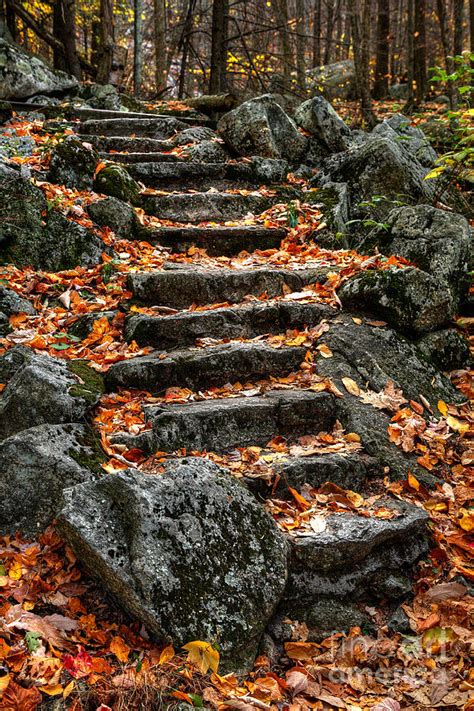 Fall Steps Photograph By Dan Carmichael Fine Art America