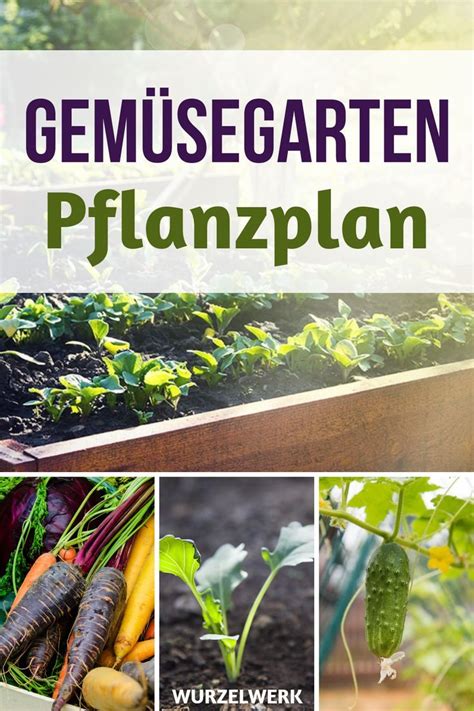 We did not find results for: Hier kommt ein konkreter Gemüsegarten-Pflanzplan, den du 1 ...