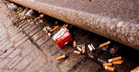 cigarette butts the most littered item in the world ecowatch