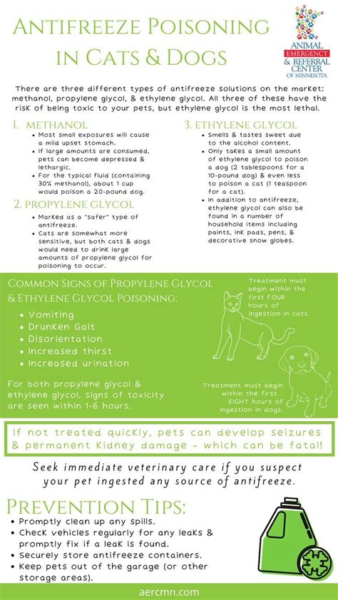 Antifreeze Poisoning Ethylene Glycol Poisoning In Pets Pet Toxins