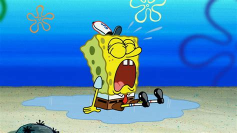 Spongebob Squarepants The Complete Fifth Season Full Frame On Gambaran