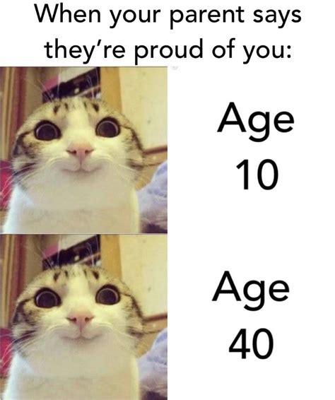 Someone Being Proud Of You Never Gets Old Rwholesomememes