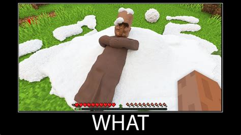 Minecraft Wait What Meme Part 306 Realistic Minecraft Snow Animation Youtube