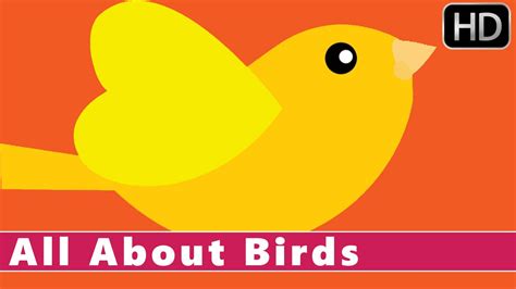 Learn All About Birds Fun Facts For Kids Nursery Rhymes For Kids