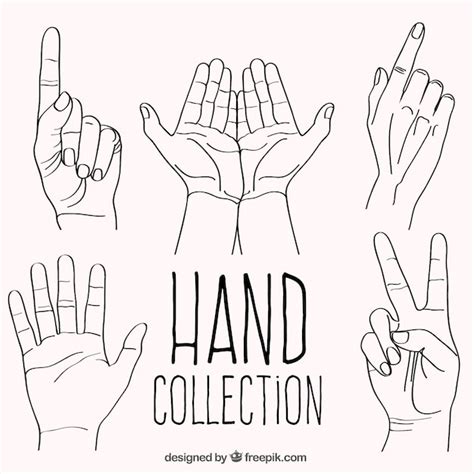 Set Of Hand Drawn Gestures With Hands Vector Free Download