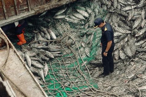 La Pesca Illegale è La Terza Più Grande Attività Economica Illecita Del