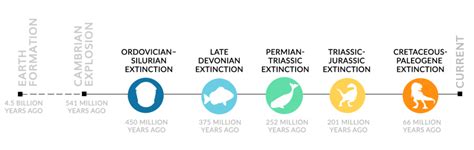 Mass Extinctions The 5 Biggest Dying Events In History Earth How