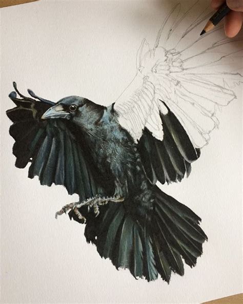 Crow In Progress Crowgress Crow Illustration Art Bird Corvid