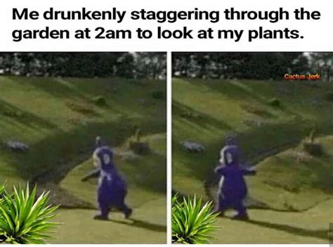 59 Plant Memes You Cant Accidentally Kill By Casually
